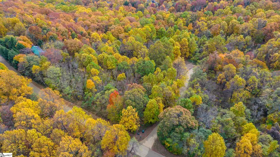 00 May Apple Way, Landrum, SC 29356 - #3