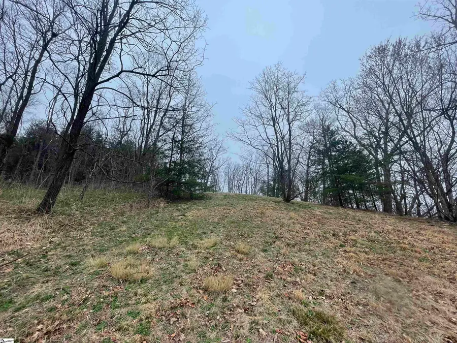 106 Ridge Pass Way, Landrum, SC 29356 - #2