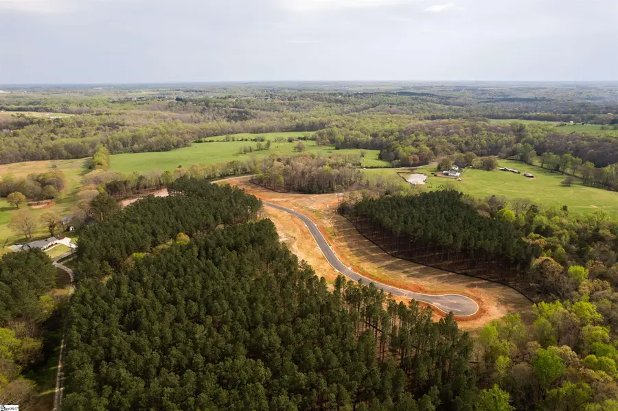 20 Danielsen Way #Lot 8, Greer, SC 29651 - #2