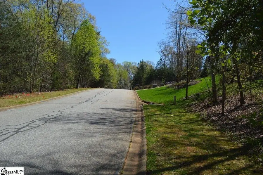 309 Laurel Valley Way, Travelers Rest, SC 29690 - #2