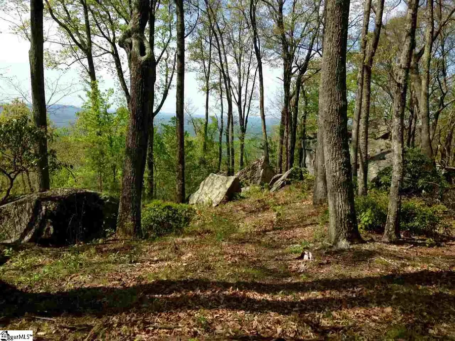 12 Drift Away Lane, Landrum, SC 29356 - #3