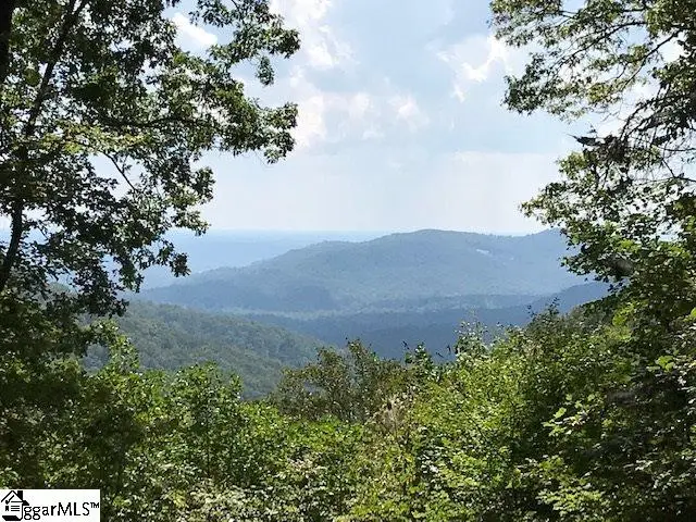 1335 Panther Park Trail, Travelers Rest, SC 29690 - #2