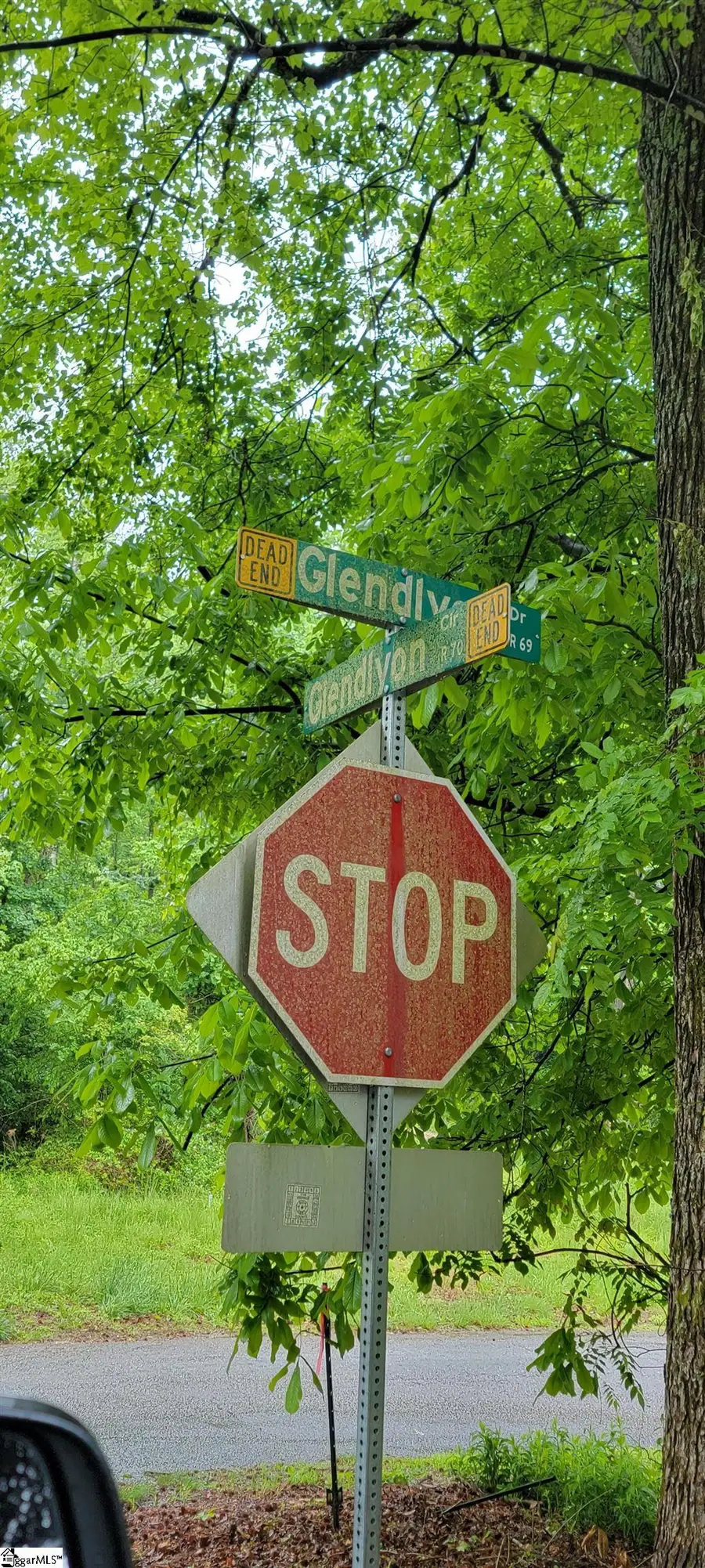 000 Glendlyon Circle, Landrum, SC 29356 - #3