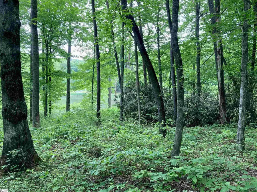 909 High Knoll Way, Travelers Rest, SC 29690 - #2