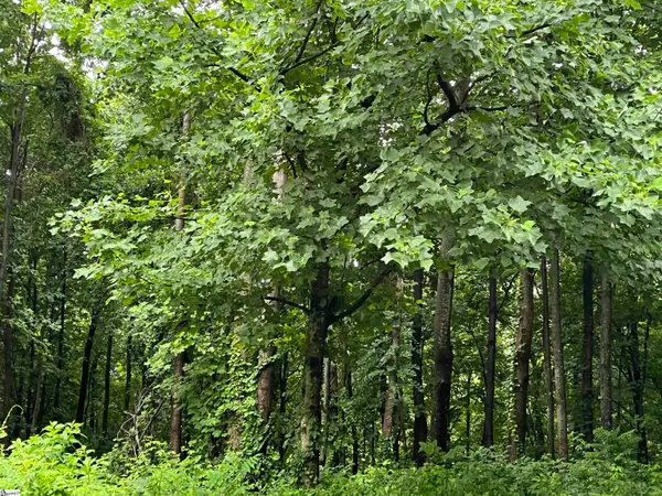 280 Foggy Cut Lane, Landrum, SC 29356