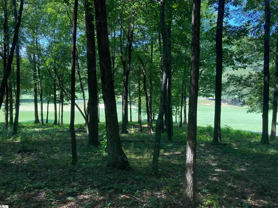 113 Foxboro Road, Travelers Rest, SC 29690 - #2