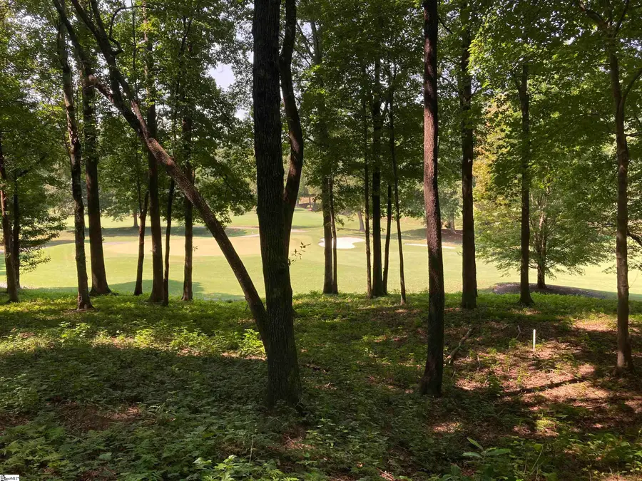 113 Foxboro Road, Travelers Rest, SC 29690 - #3