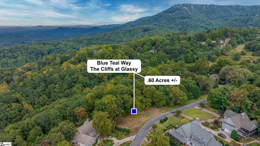 40 Blue Teal Way, Landrum, SC 29356-3329 - #2