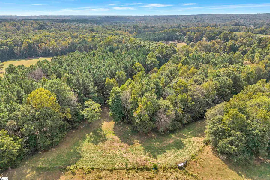 00 Pearson Town Road, Moore, SC 29369 - #2