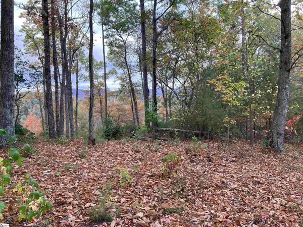 White Fox Trail #Lot 15, Marietta, SC 29661
