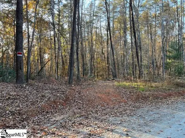 TBD Shady Lane, Mill Spring, NC 28756
