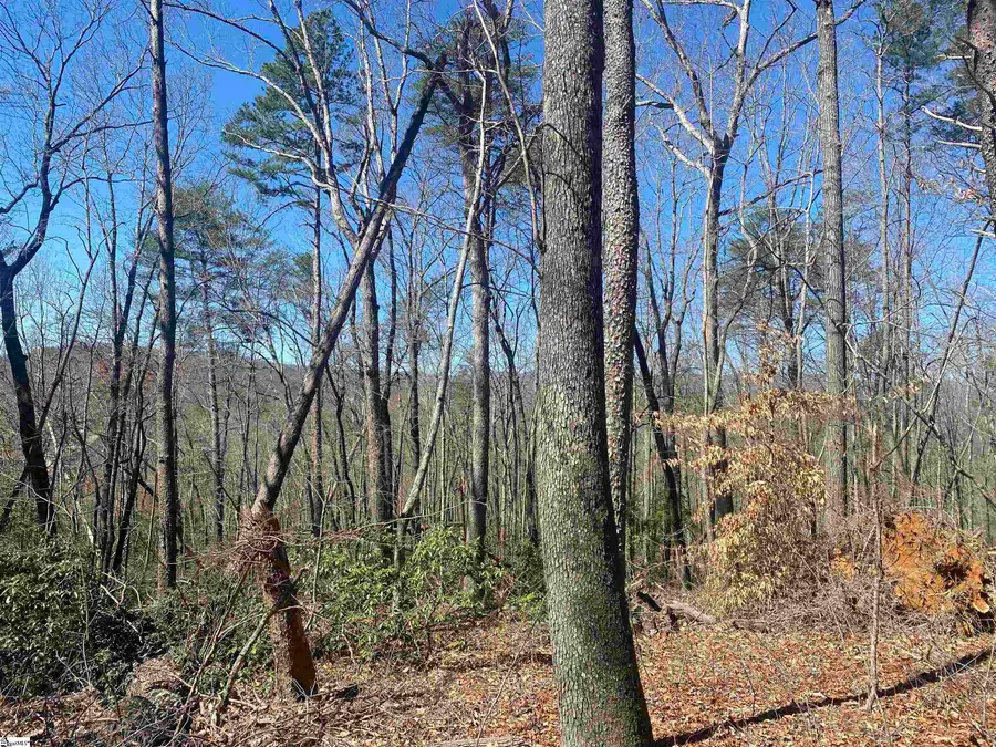 215 Luberon Lane, Travelers Rest, SC 29690 - #2