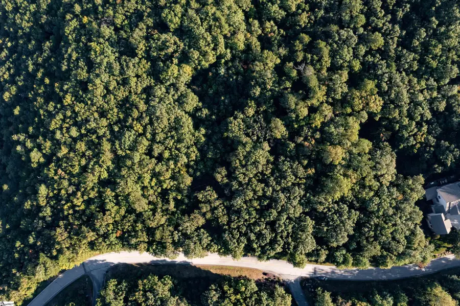 905 Mountain Summit Road, Travelers Rest, SC 29690 - #3