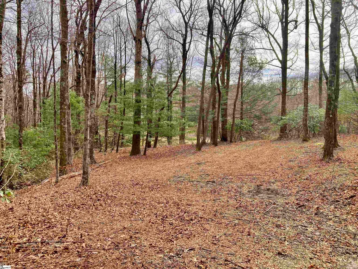 238 Snap Dragon Way, Landrum, SC 29356 - #1