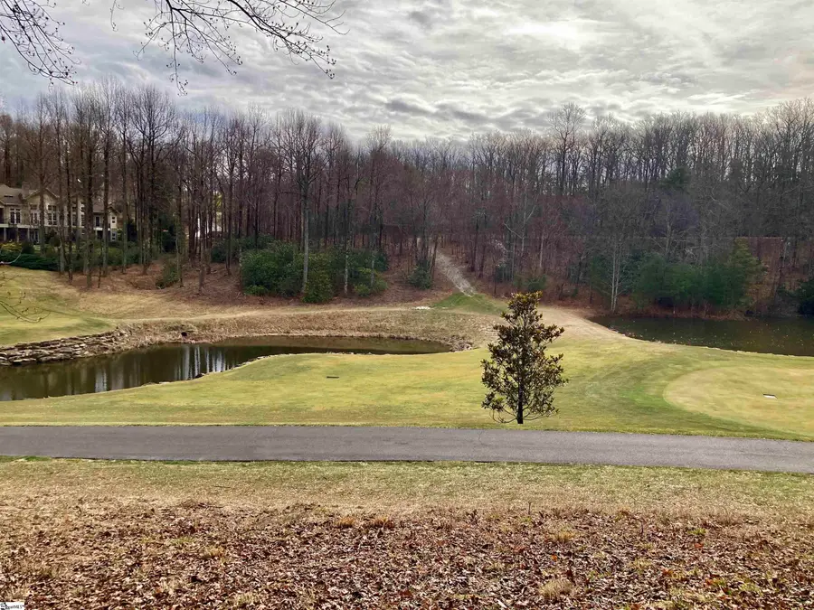 238 Snap Dragon Way, Landrum, SC 29356 - #2