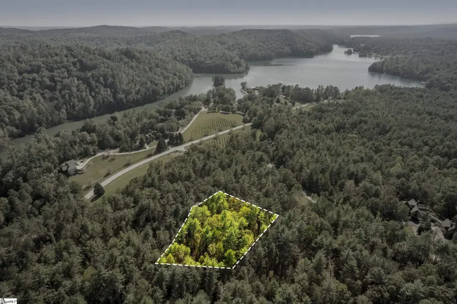 105 Chicory Lane, Sunset, SC 29685 - #2