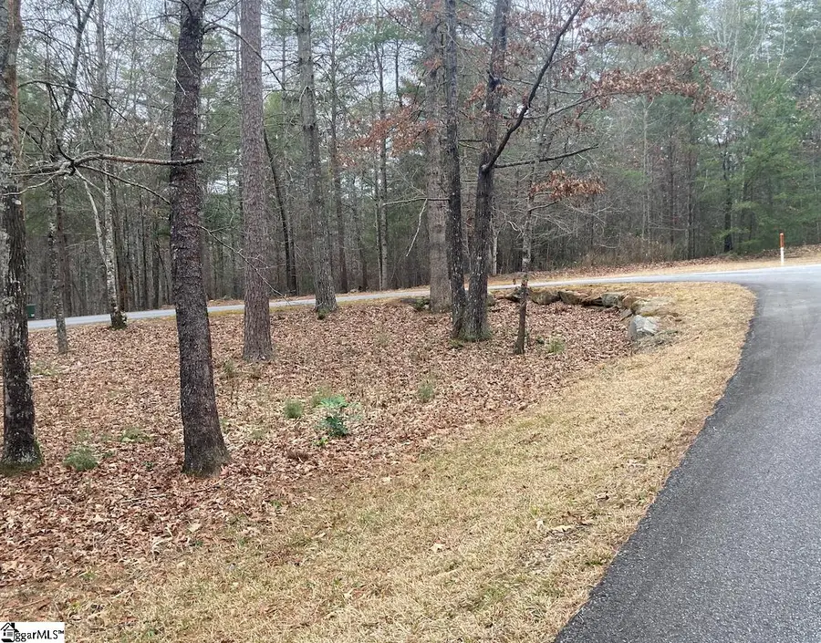 105 Chicory Lane, Sunset, SC 29685 - #3