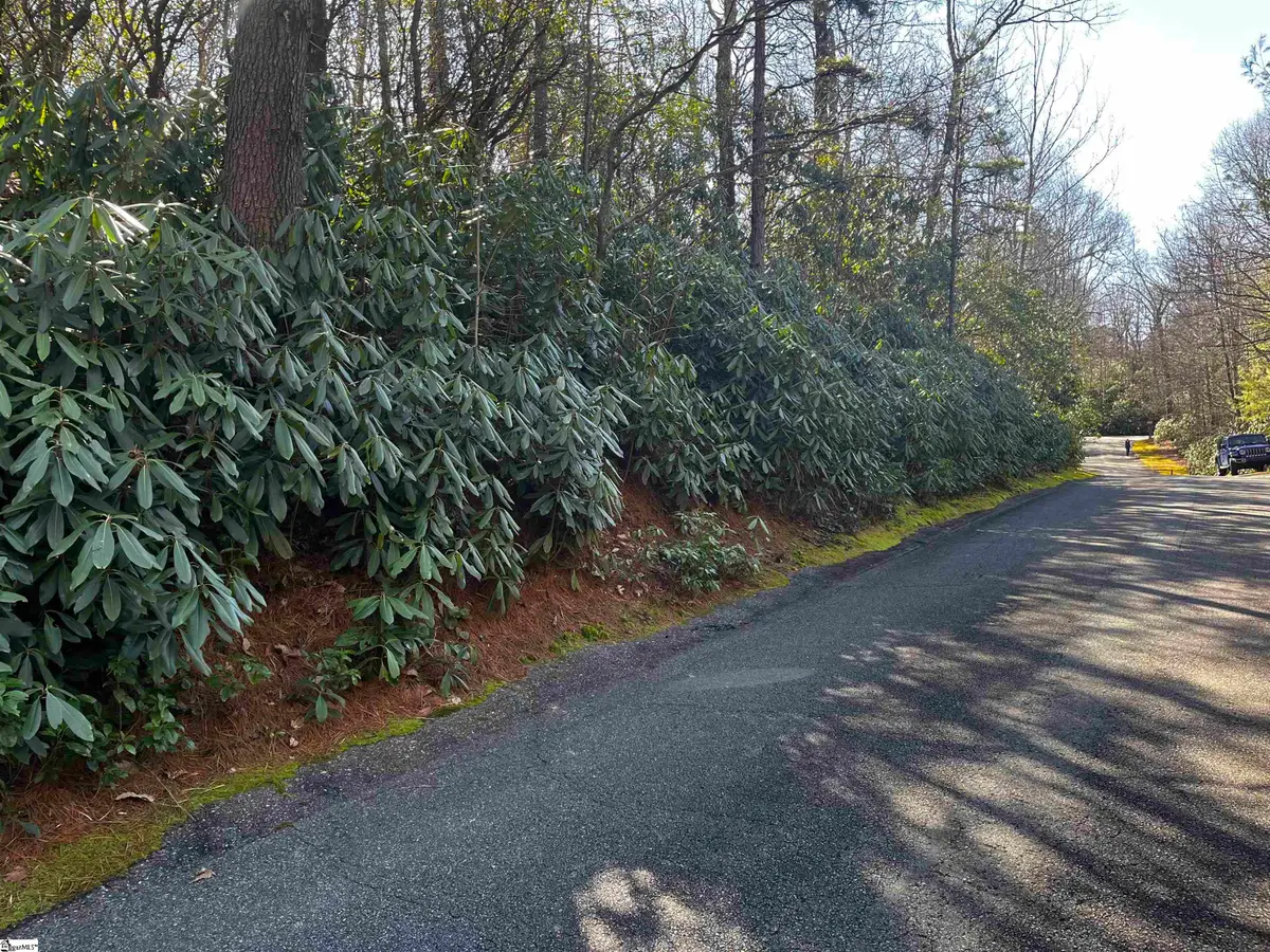116 Hemlock Trail #Lot 182, Cleveland, SC 29635 - #1