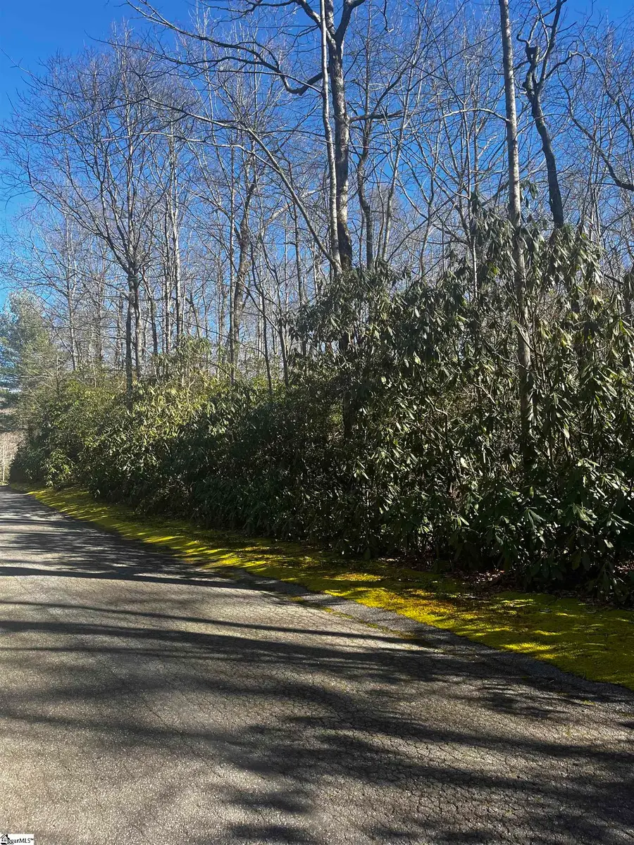 116 Hemlock Trail #Lot 182, Cleveland, SC 29635 - #2