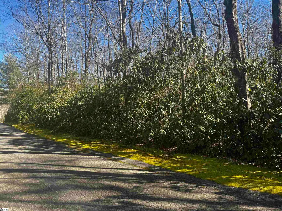116 Hemlock Trail #Lot 182, Cleveland, SC 29635 - #3