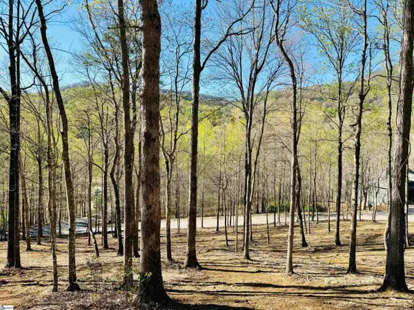 2 Buck Creek Trail, Travelers Rest, SC 29690
