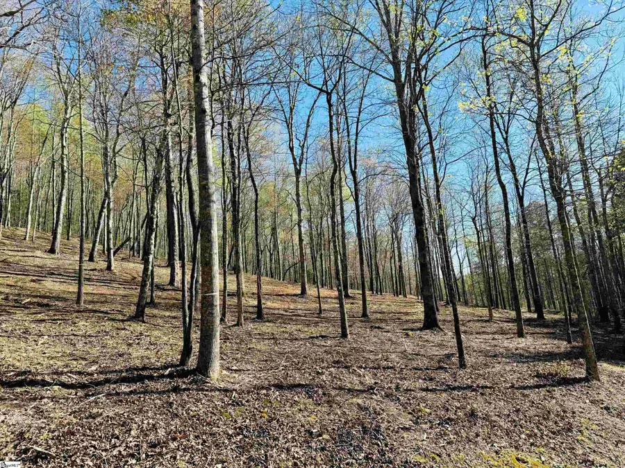 101 Crystal Brook Trail, Travelers Rest, SC 29690 - #3