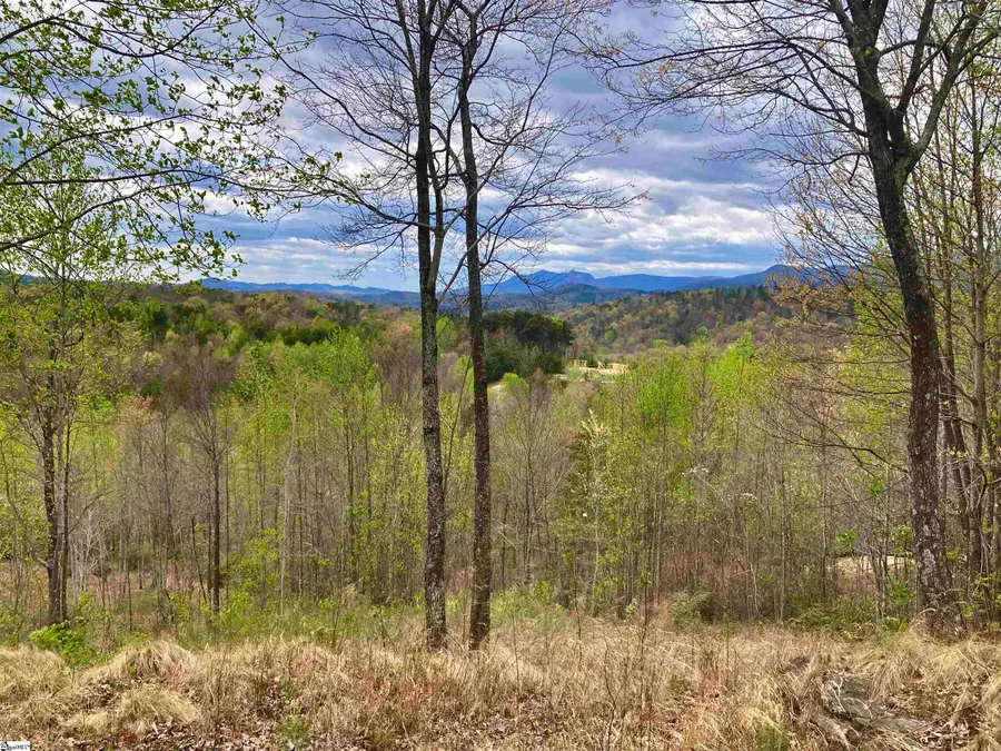 17 Sweetleaf Court, Marietta, SC 29661 - #3