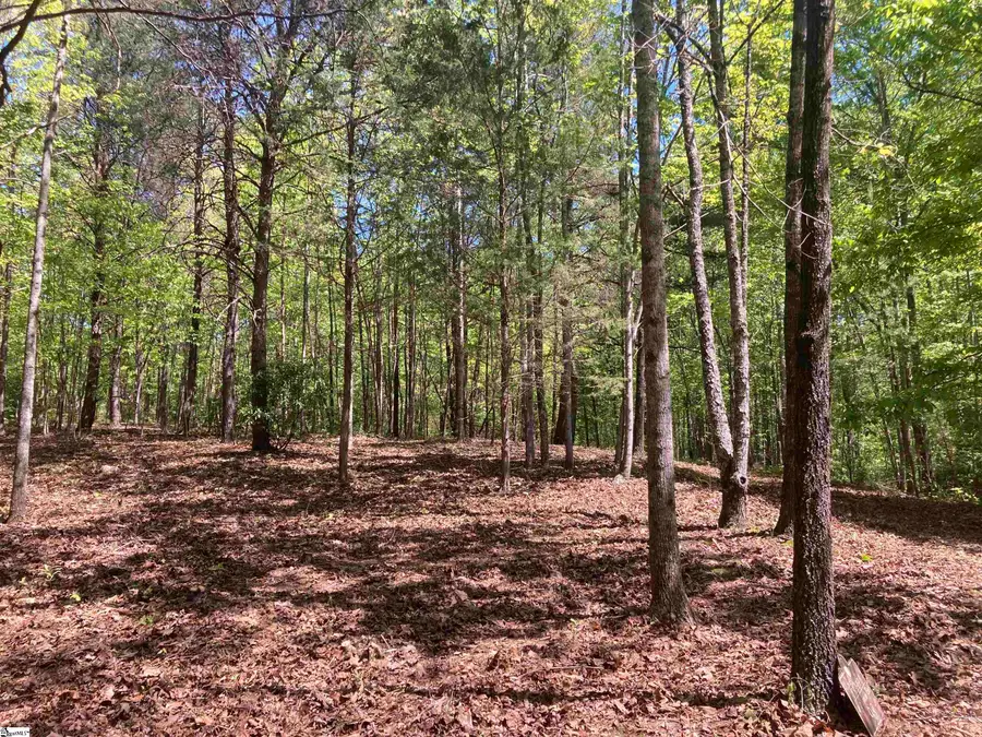 2 Darting Sparrow Way, Marietta, SC 29661 - #3