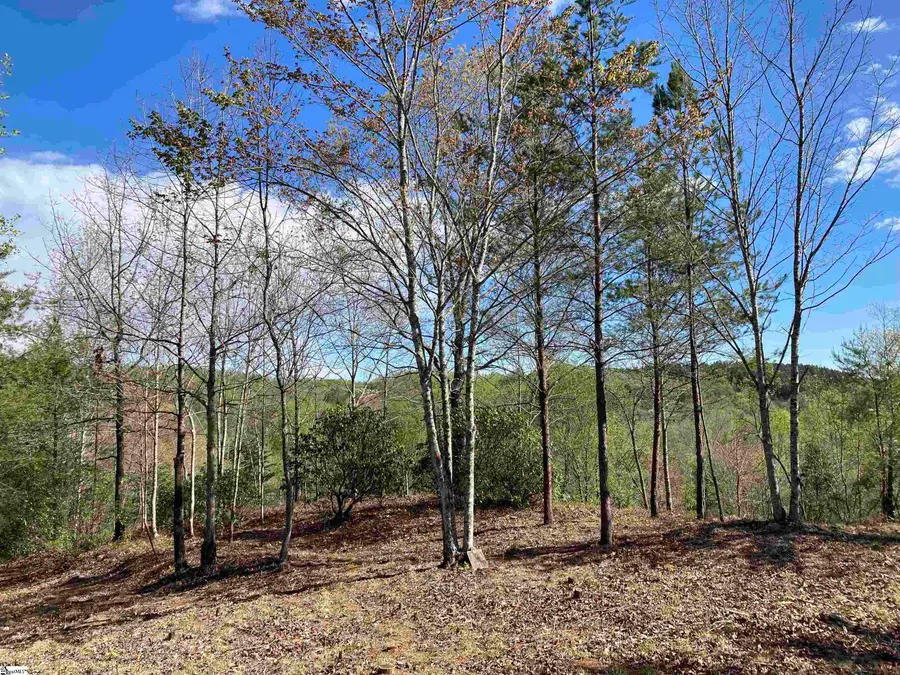 775 Blue Bonnet Trail, Marietta, SC 29661 - #2