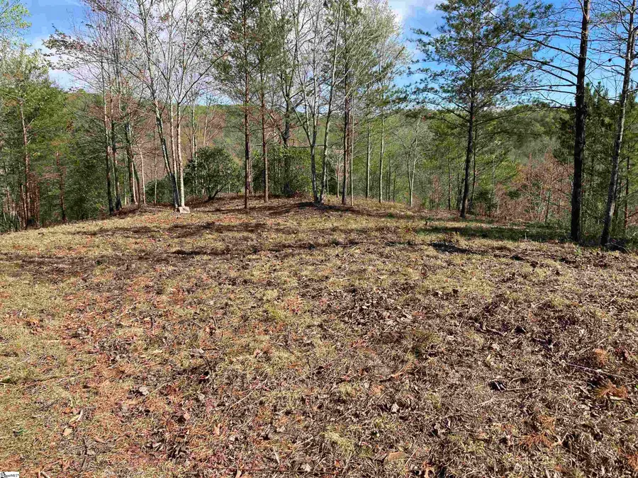 775 Blue Bonnet Trail, Marietta, SC 29661 - #3