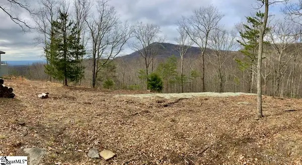 16 Heather Hill Lane, Landrum, SC 29356