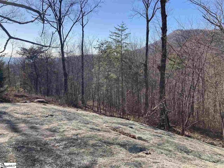 16 Heather Hill Lane, Landrum, SC 29356 - #3