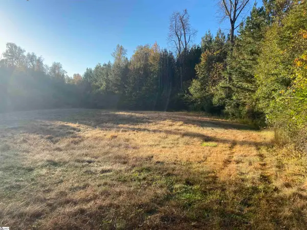 0 Hillside Church Road, Fountain Inn, SC 29644