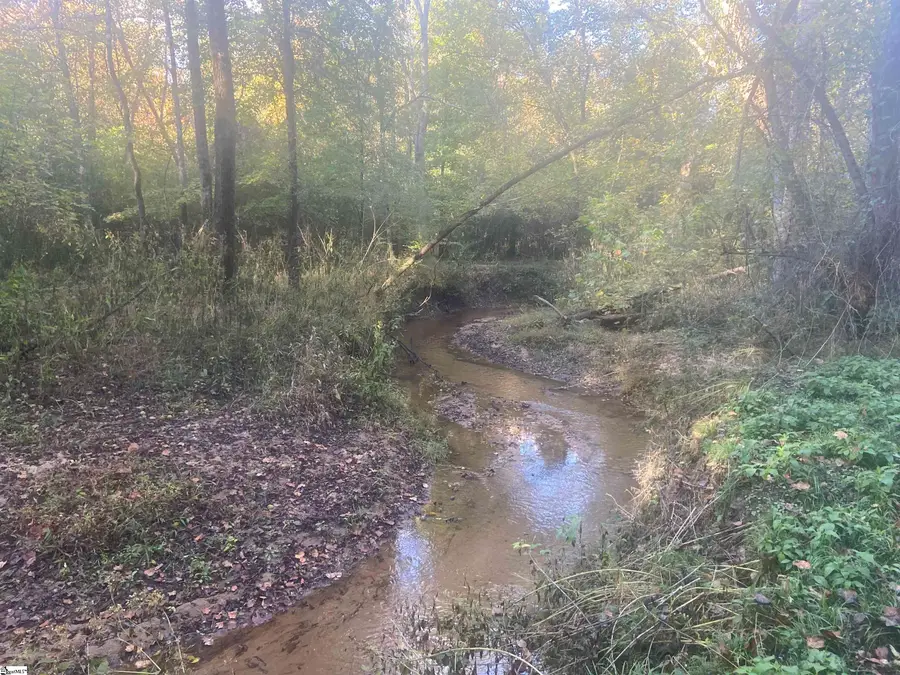 0 Hillside Church Road, Fountain Inn, SC 29644 - #3