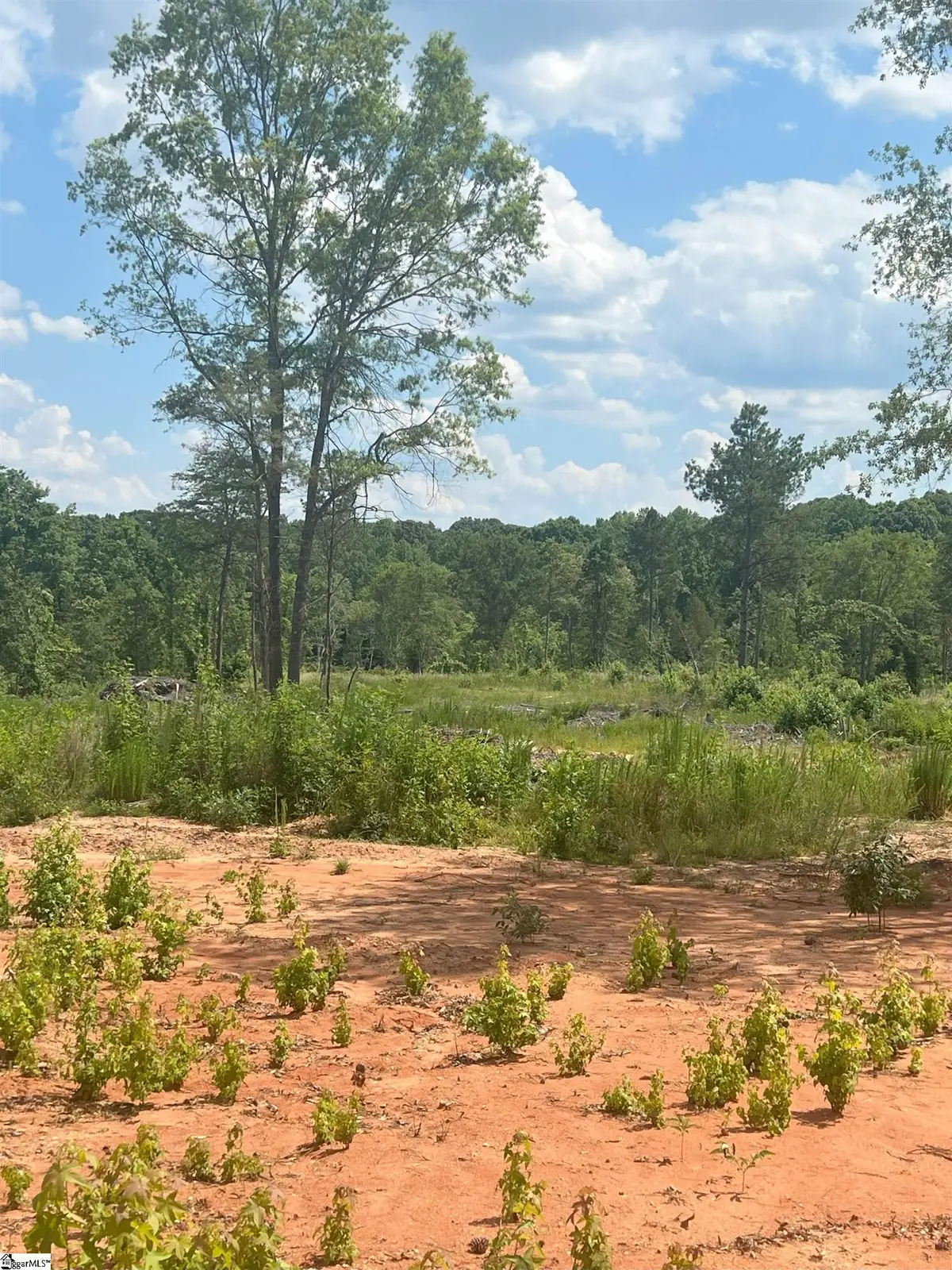 761 Casey Road, Woodruff, SC 29388 - #1