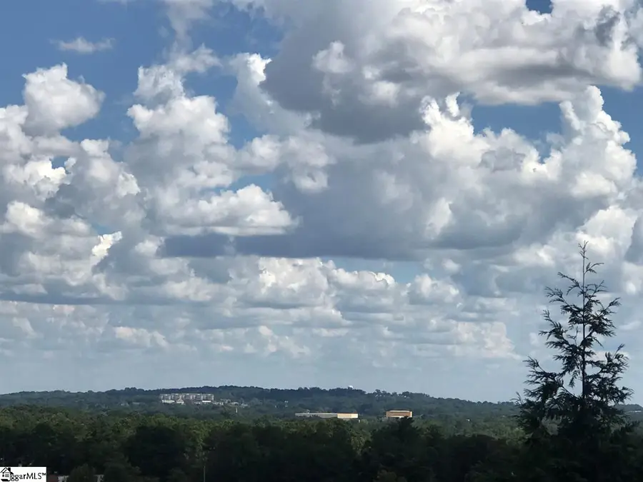 205 Trevi Drive #Lot 460, Greenville, SC 29609 - #3