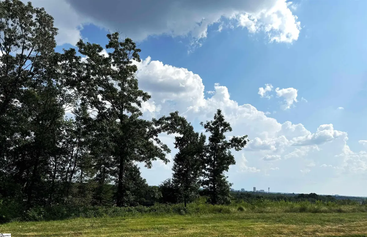 209 Trevi Drive #Lot 461, Greenville, SC 29609 - #1