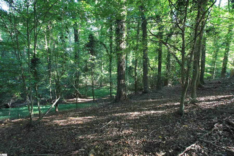 0 Maple Court, Woodruff, SC 29388-2318 - #2