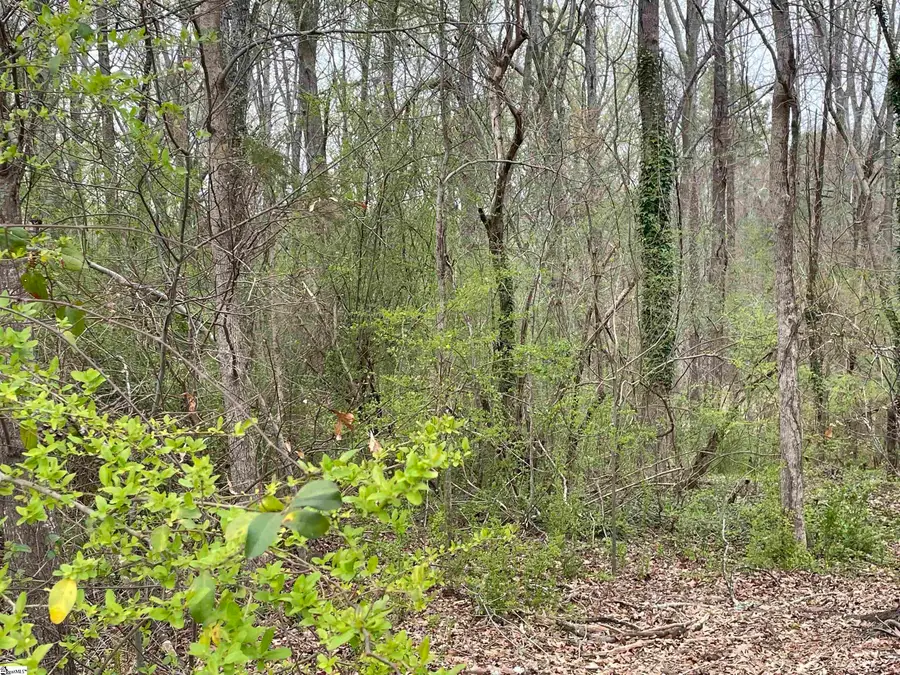 00 Highway 146, Simpsonville, SC 29681 - #2