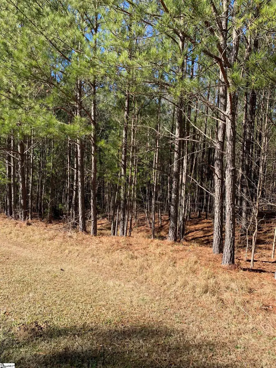 306 & 308 Watersedge Drive #Lot 88 and Lot 89, Cross Hill, SC 29332 - #2