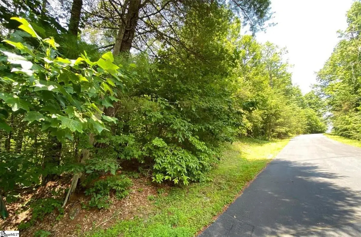 68 Stepp Ridge Court, Hendersonville, NC 28792 - #1