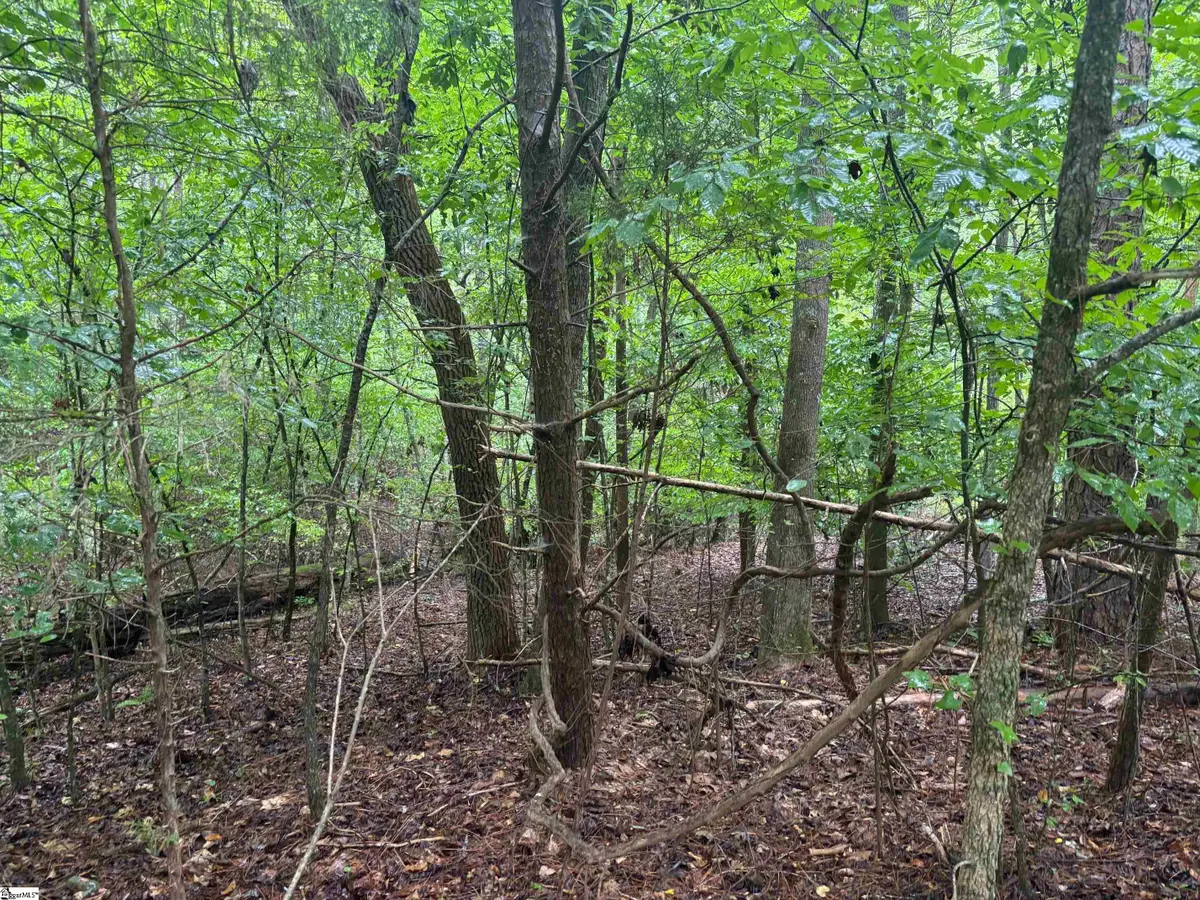 0 Lake Forest Drive, Abbeville, SC 29620-0 - #1