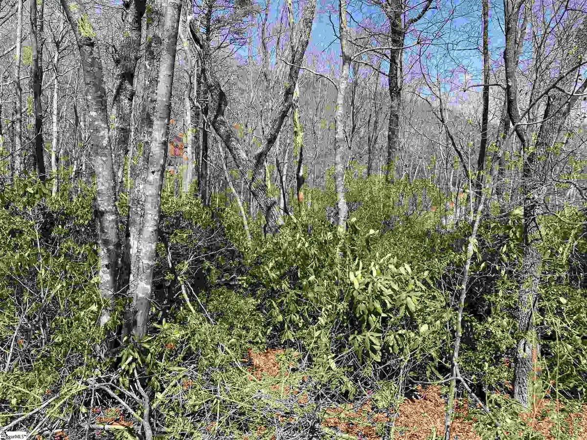 12 Blazing Star Trail, Landrum, SC 29356 - #1