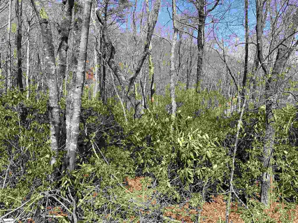 12 Blazing Star Trail, Landrum, SC 29356