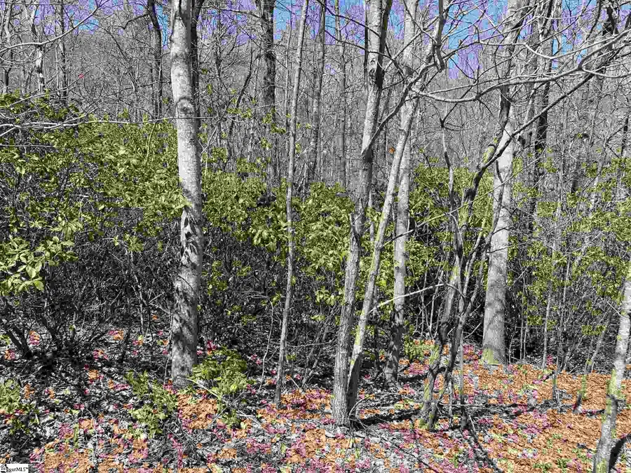 12 Blazing Star Trail, Landrum, SC 29356 - #2