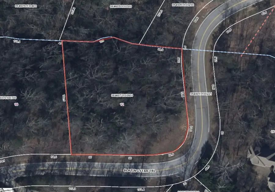 12 Blazing Star Trail, Landrum, SC 29356 - #3