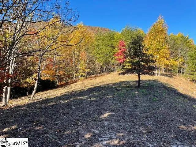 00 Birkdale Drive, Mill Spring, NC 28756 - #3