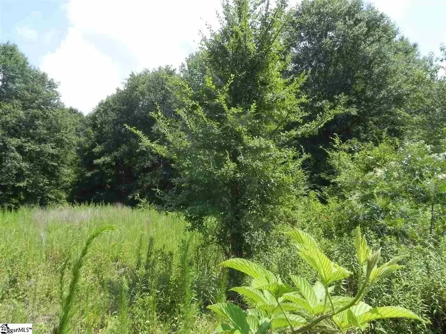 1611 Price House Road #Lot 16, Roebuck, SC 29376 - #2