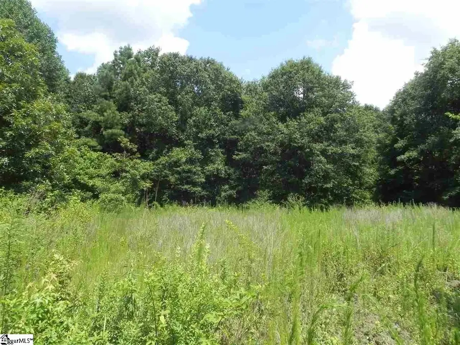 1611 Price House Road #Lot 16, Roebuck, SC 29376 - #3
