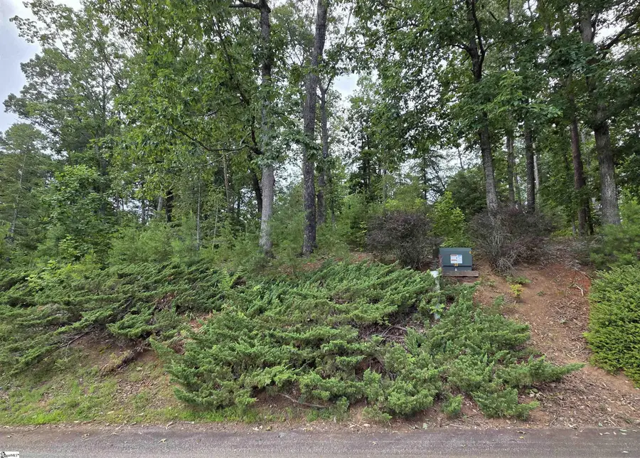 219 Luberon Lane, Travelers Rest, SC 29690 - #2